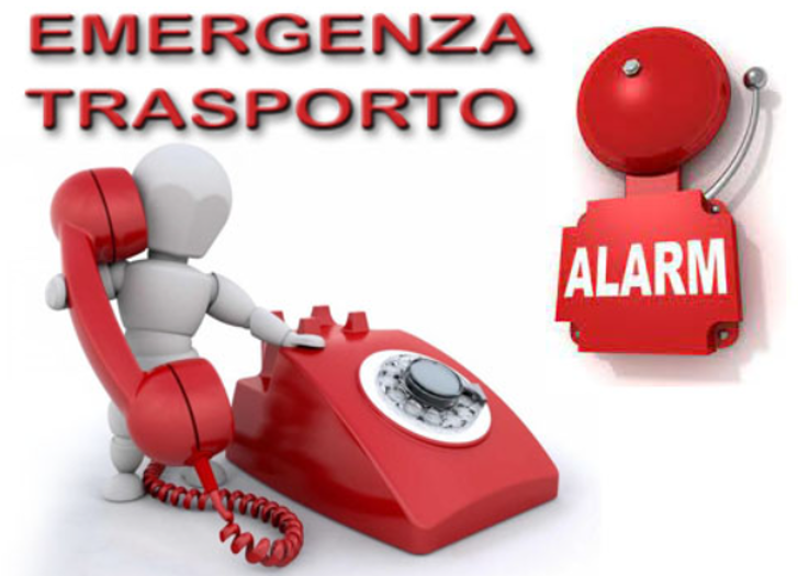 Autotrasporti espressi dedicati
